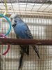 20170821_215432.jpg