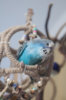 _DSC6277@0,25x.jpg