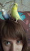 IMG-20170823-WA0010.jpeg