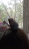 IMG-20170823-WA0014.jpeg