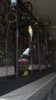 IMG-20170823-WA0018.jpeg
