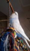 IMG-20170824-WA0035.jpeg