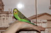 DSC06227.JPG
