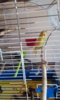 IMG-20170827-WA0002.jpeg