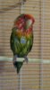 IMG-20170830-WA0004.jpg