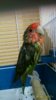 IMG-20170830-WA0005.jpg