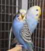 DSC_3591.JPG