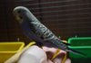 DSC_3629.JPG