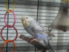 DSCN9986.JPG