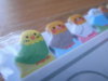 DSCN9981.JPG