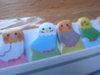 DSCN9982.JPG