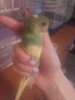 20170902_223623.jpg