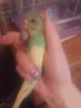 20170902_223429.jpg