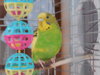 DSCN5883.JPG