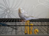DSCN7913.JPG
