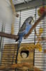 DSC_1940.JPG