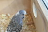 DSC_1934.JPG
