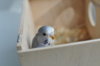 DSC_1938.JPG