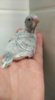 IMG_20170903_162829.jpg