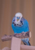 _DSC6359@1x.jpg