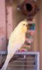 _DSC6336@0,25x.jpg
