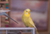 _DSC6425@0,25x.jpg