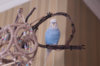 _DSC6406@0,25x.jpg