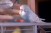 _DSC6464@0,25x.jpg