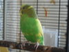 DSCN0038.JPG