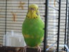 DSCN0041.JPG