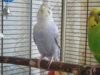 DSCN0039.JPG