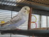 DSCN0051.JPG