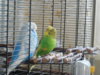 DSCN0048.JPG