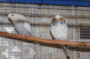 IMG_4464.JPG