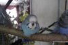 image.jpeg