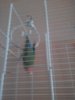 20170910_104629.jpg