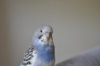 DSC_2038.JPG