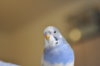 DSC_2042.JPG