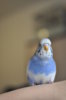 DSC_2044.JPG
