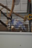 DSC_1956.JPG