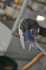 DSC_2023.JPG
