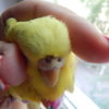 DSCN6234.JPG