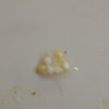 DSCN6240.JPG