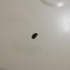 DSCN6245.JPG