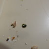 DSCN6246.JPG