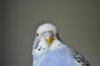 DSC_2061.JPG