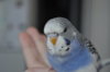 DSC_2062.JPG