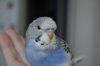 DSC_2063.JPG