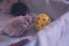 _DSC6715@0,25x.jpg