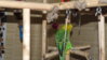 DSCF9073.JPG